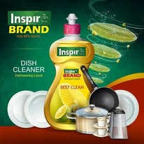 Dish Wash Cleaner